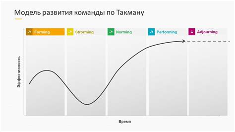 Этапы развития команды в проектном управлении