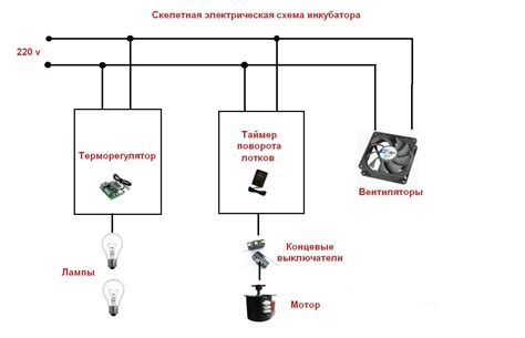 Этапы сборки и подключения инкубатора