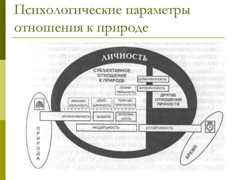 Этапы формирования отношения младенцев к миру