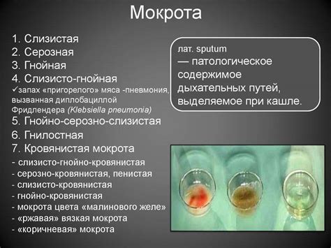 Эффективное лечение при мокроте с калом и запоре