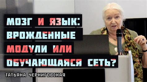 Эффективное обучение в подключении языка к мозгу