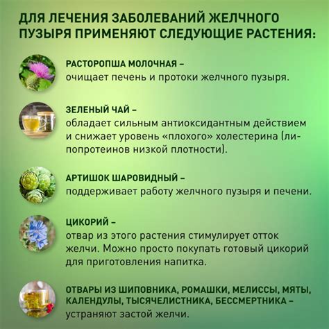 Эффективность алкогольных напитков для профилактики пропуска желчного пузыря