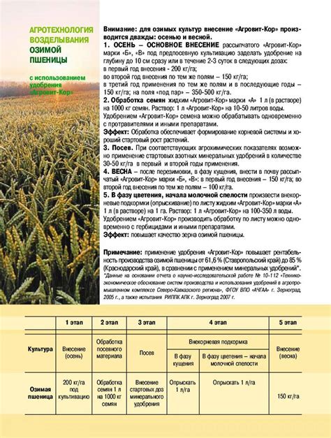 Эффективные методы обработки почвы для улучшения питательного состава