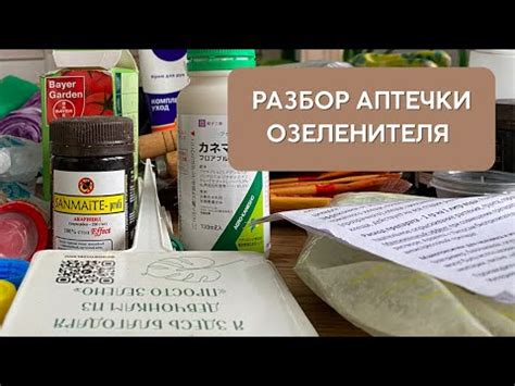 Эффективные методы профессионального исправления зеленой точки