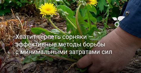 Эффективные решения с минимальными затратами