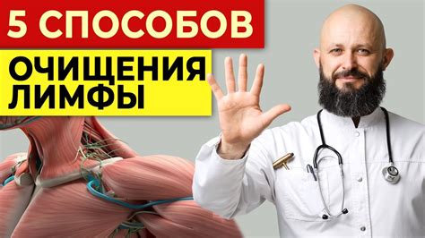 Эффективные способы очистить дофаминовую систему