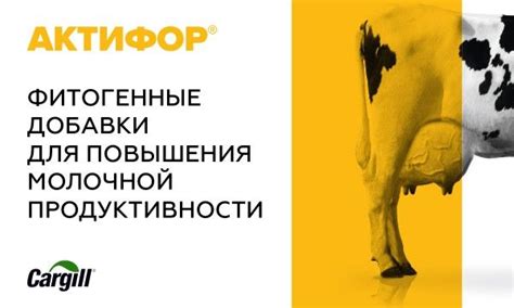 Эффективные способы повышения молочной продуктивности