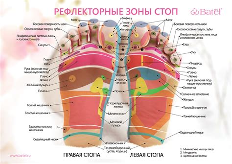 Эффективные способы снятия жжения в области солнечного сплетения