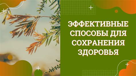 Эффективные способы сохранения