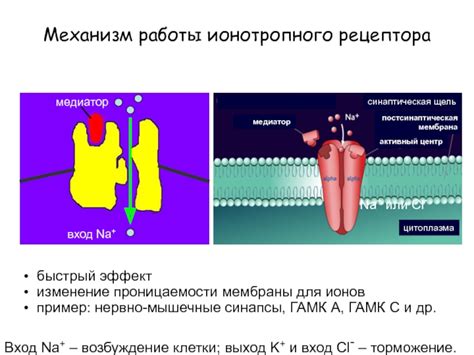 Эффект "Майонезной мембраны"