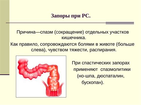 Эффект на сокращение кишечника