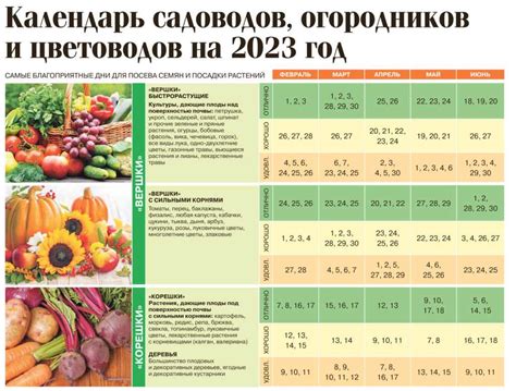 Эффект от определения предельного времени сбора урожая весеннего посада