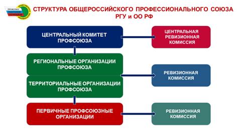 Юридическая база организации профсоюза