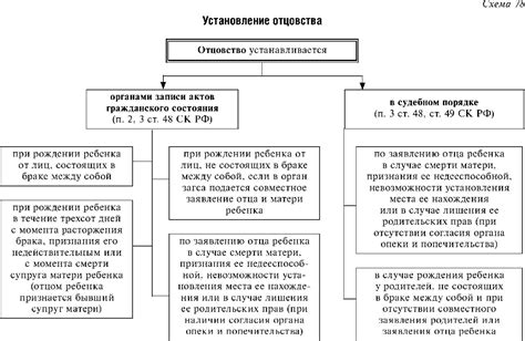 Юридические процедуры установления отцовства: документы и законодательство