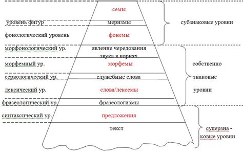 Языковые навыки: уровень и специализация