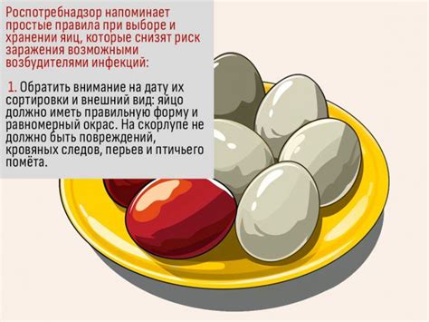 Яйцо – важный продукт питания, но его скорлупа может быть загрязнена