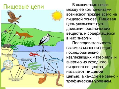  Глобальные изменения в экологической системе из-за перехода рыб в соленую воду 