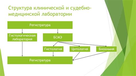  Значение гистологических исследований сегодня 