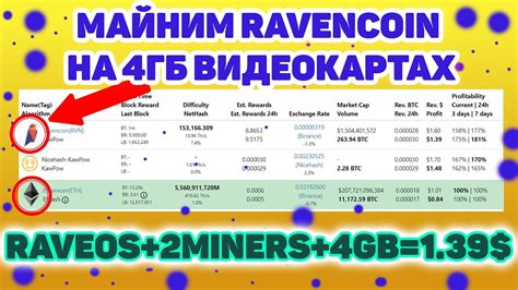  Инструкция по настройке RaveOS на 2miners 