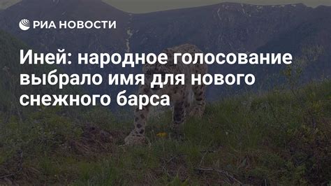  Народное голосование за имя милого птенца 