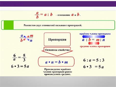  Определение пропорций с помощью основных черт лица 