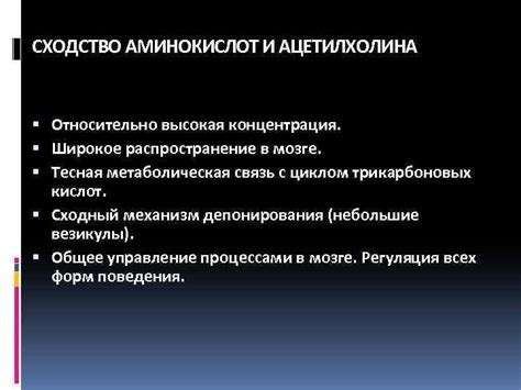  Повышение уровня ацетилхолина в мозге: эффективные методы 