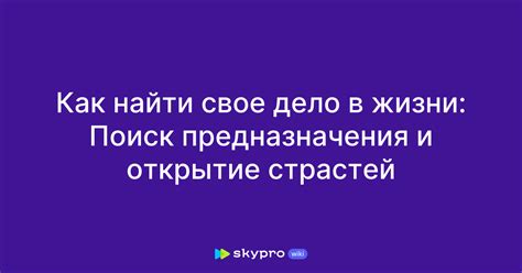  Поиск собственных страстей и увлечений 