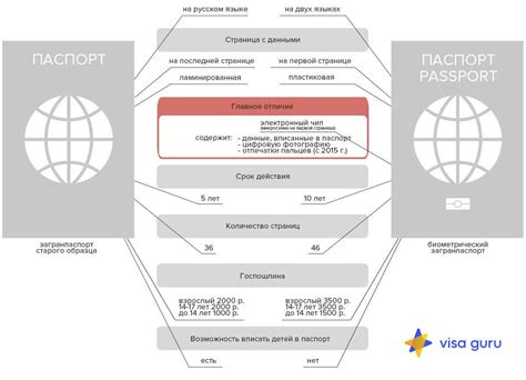  Получить и заполнить необходимые документы 