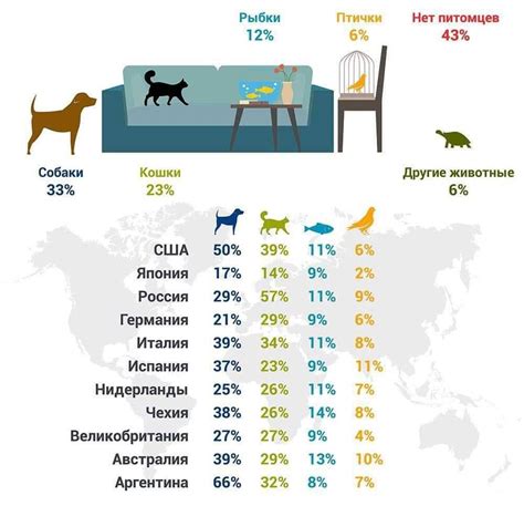  Популярность бяшей как домашних питомцев 