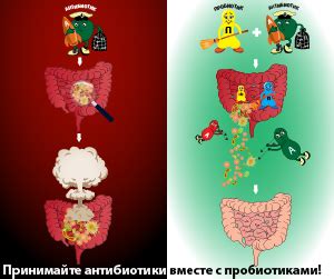  Последствия приема антибиотиков 