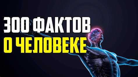  Почему важно знать топ вопросы о человеке?