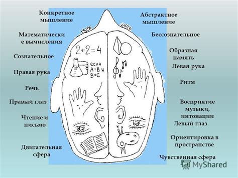  Правая рука и тактильная память 