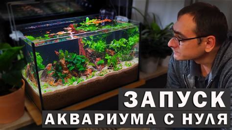  Преимущества завещания аквариума без фильтра 