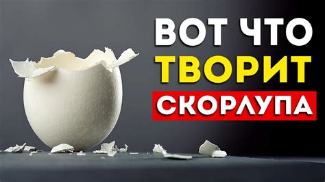  Преимущества использования яичной скорлупы 