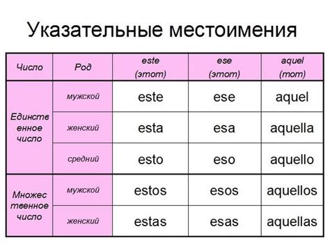  Прилагательные и местоимения 