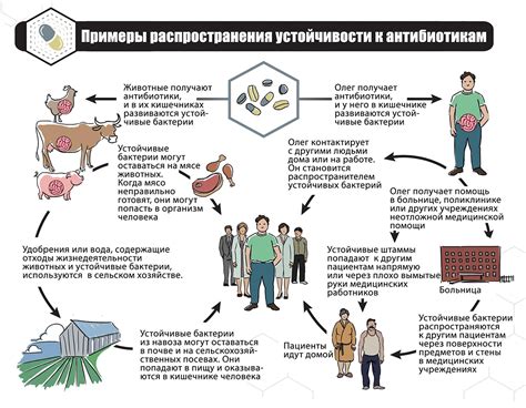  Применение ботаники в медицине и сельском хозяйстве 