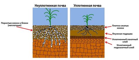  Причины промораживания почвы 