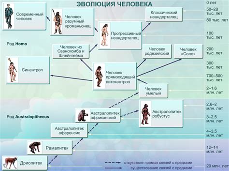  Происхождение исторических форм 