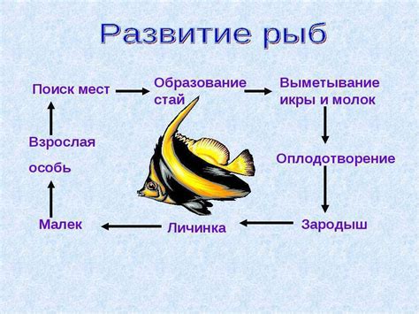  Размножение и охрана потомства в условиях группы рыб 