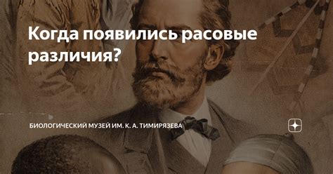  Расовые различия в Южной Америке 