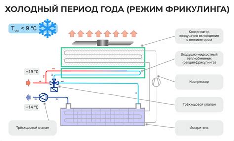  Роль фрикулинга 