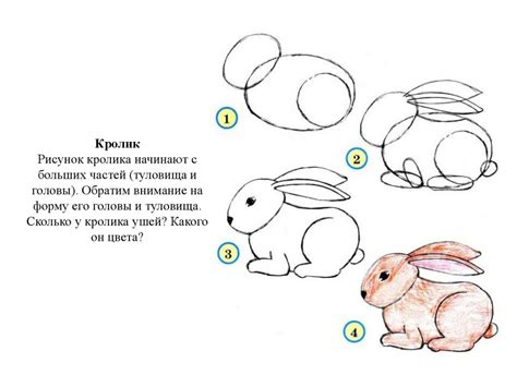  Создание основы для туловища кролика 