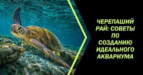  Создание эффекта движения и водной среды 