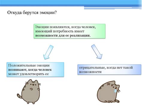  Управление эмоциональным состоянием кошки 