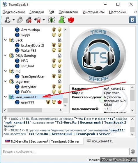  Установка TeamSpeak клиента на компьютер 