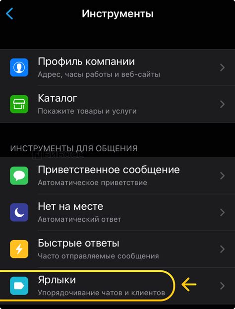  Установка WhatsApp на iPhone в детском аккаунте 