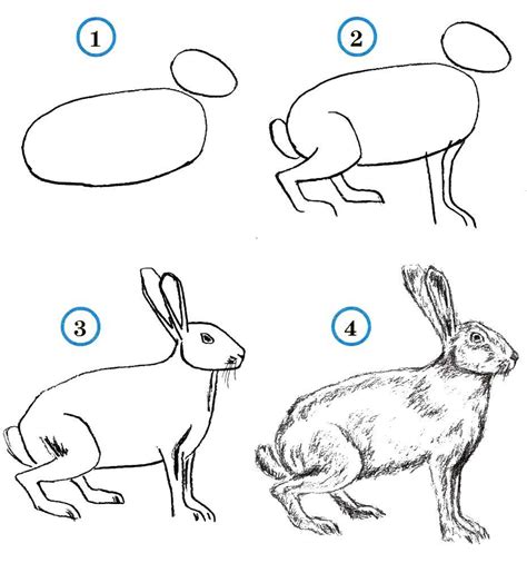  Шаги для рисования зайца в пейнте 