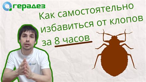  Шаг 2: Какие проблемы возникают из-за наличия клопов 