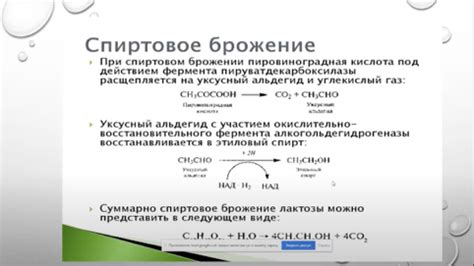  Шаг 8: Отслеживайте процесс брожения 