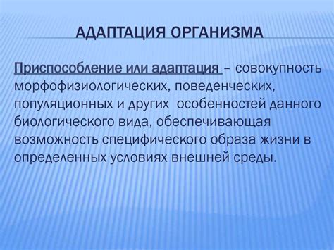 2. Адаптация организма